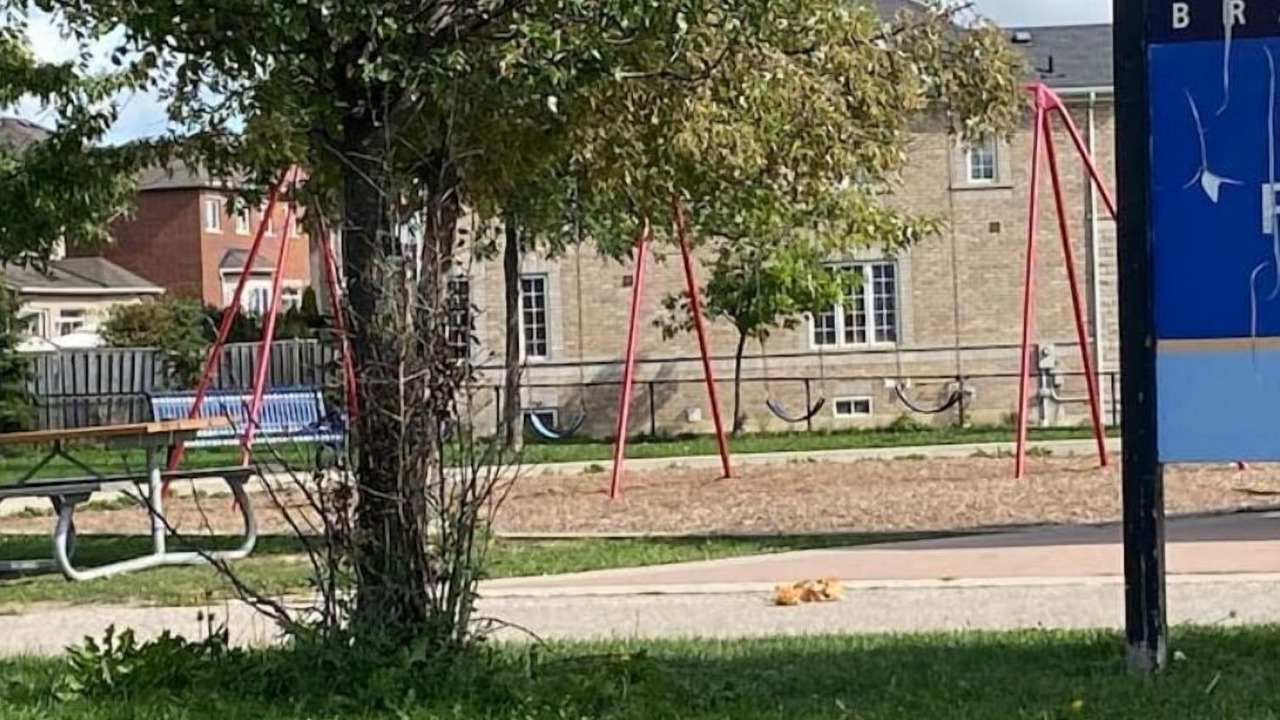 Photo of Others in Mount Pleasant
