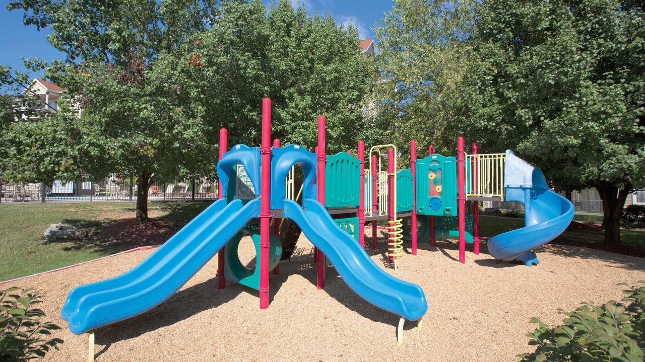 Photo of Others in Table Rock