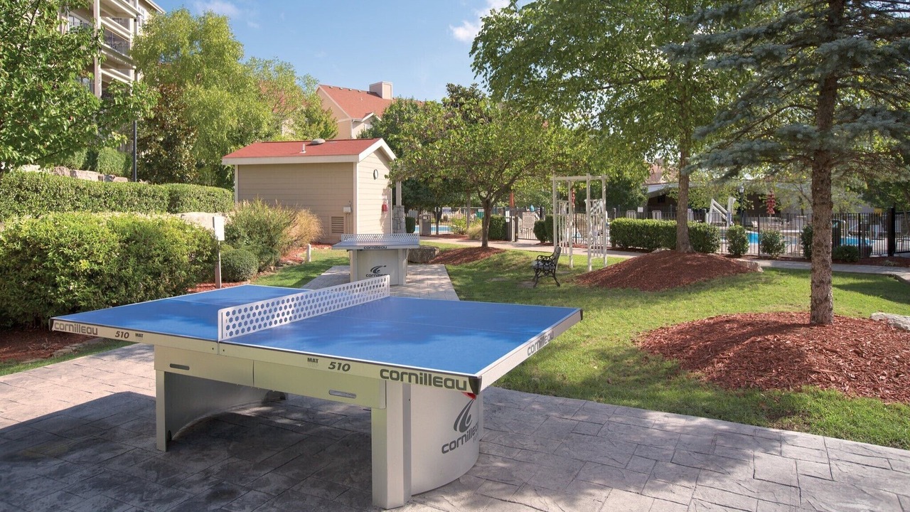 Photo of Outdoor in Table Rock