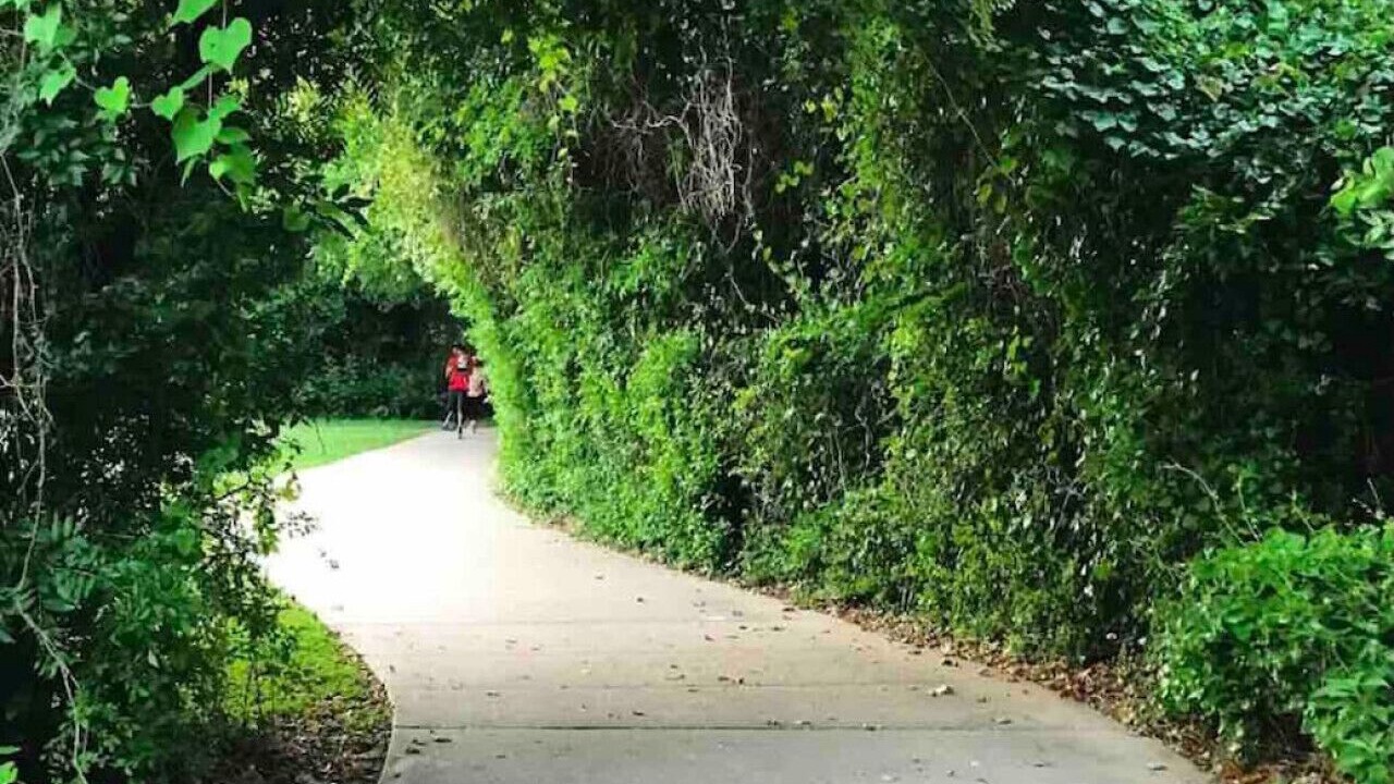 Photo of Others in Pflugerville
