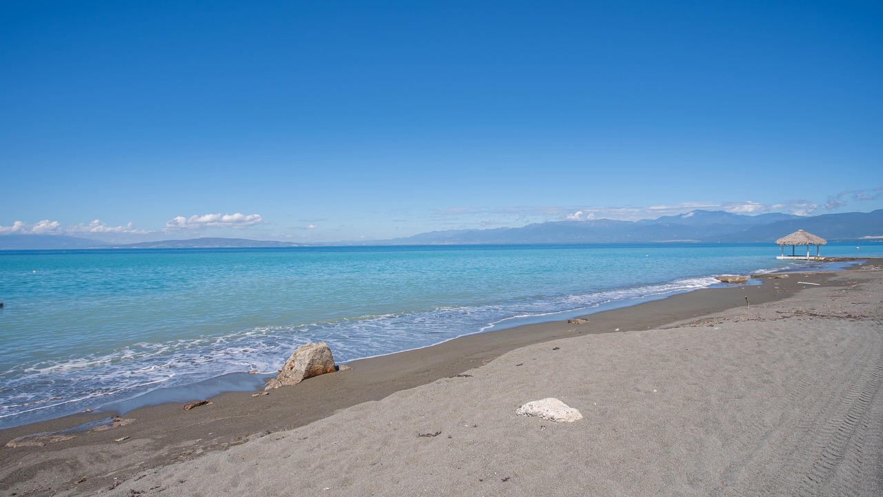 Photo of Others in Palmar de Ocoa