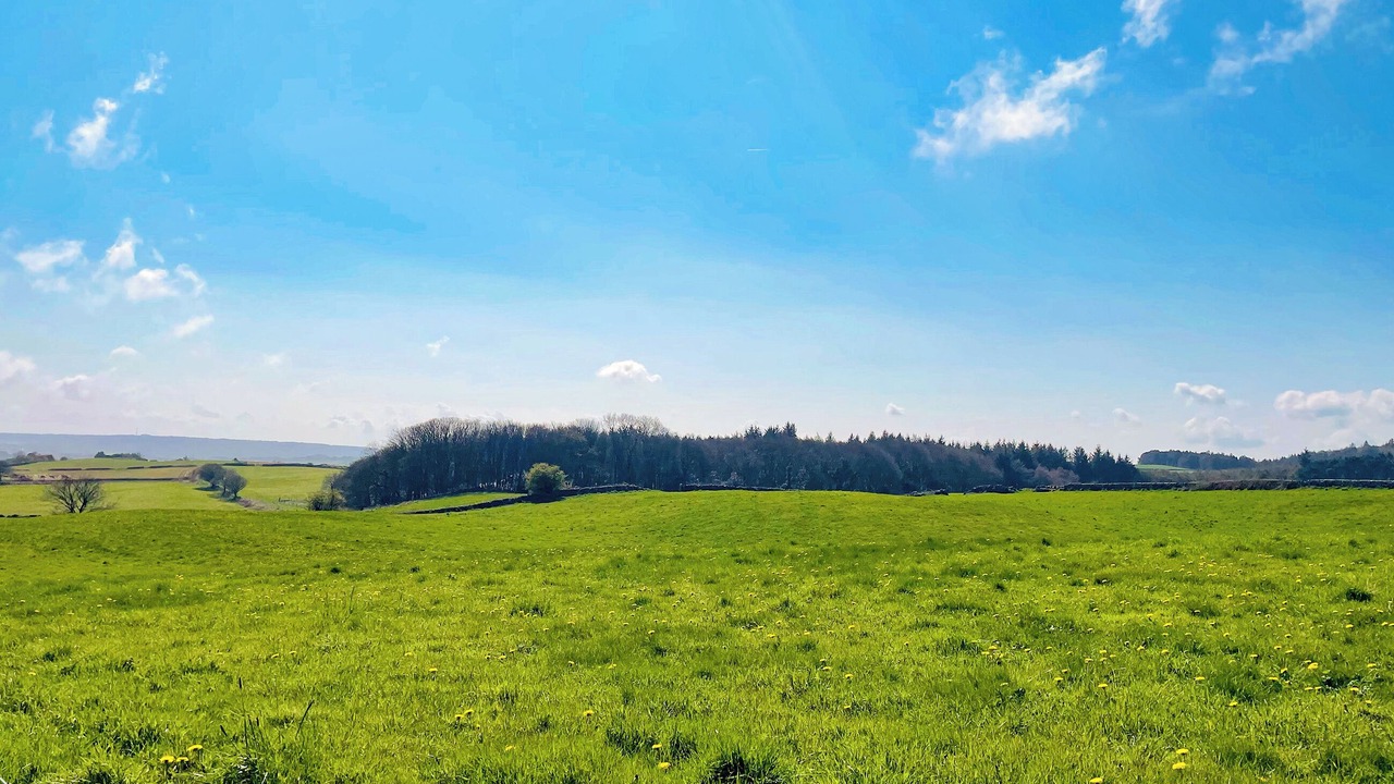 Photo of Others in Scarborough