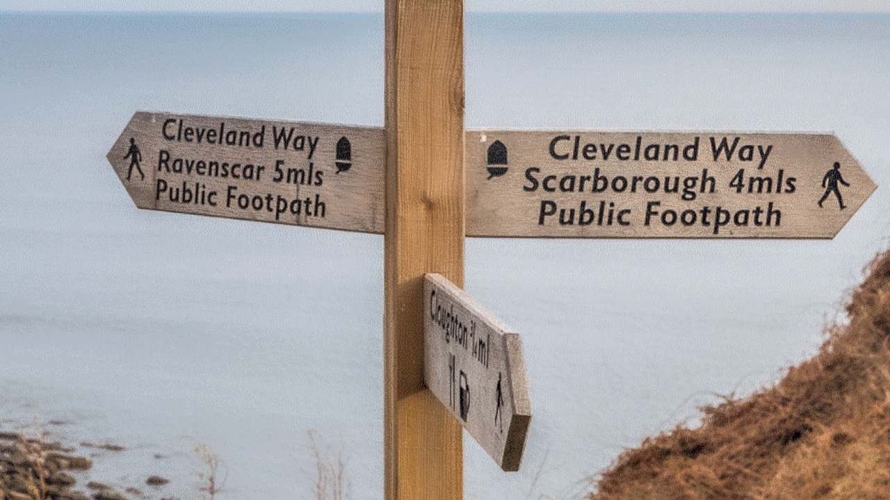 Photo of Others in Scarborough