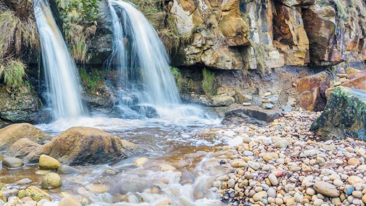 Photo of Others in Scarborough