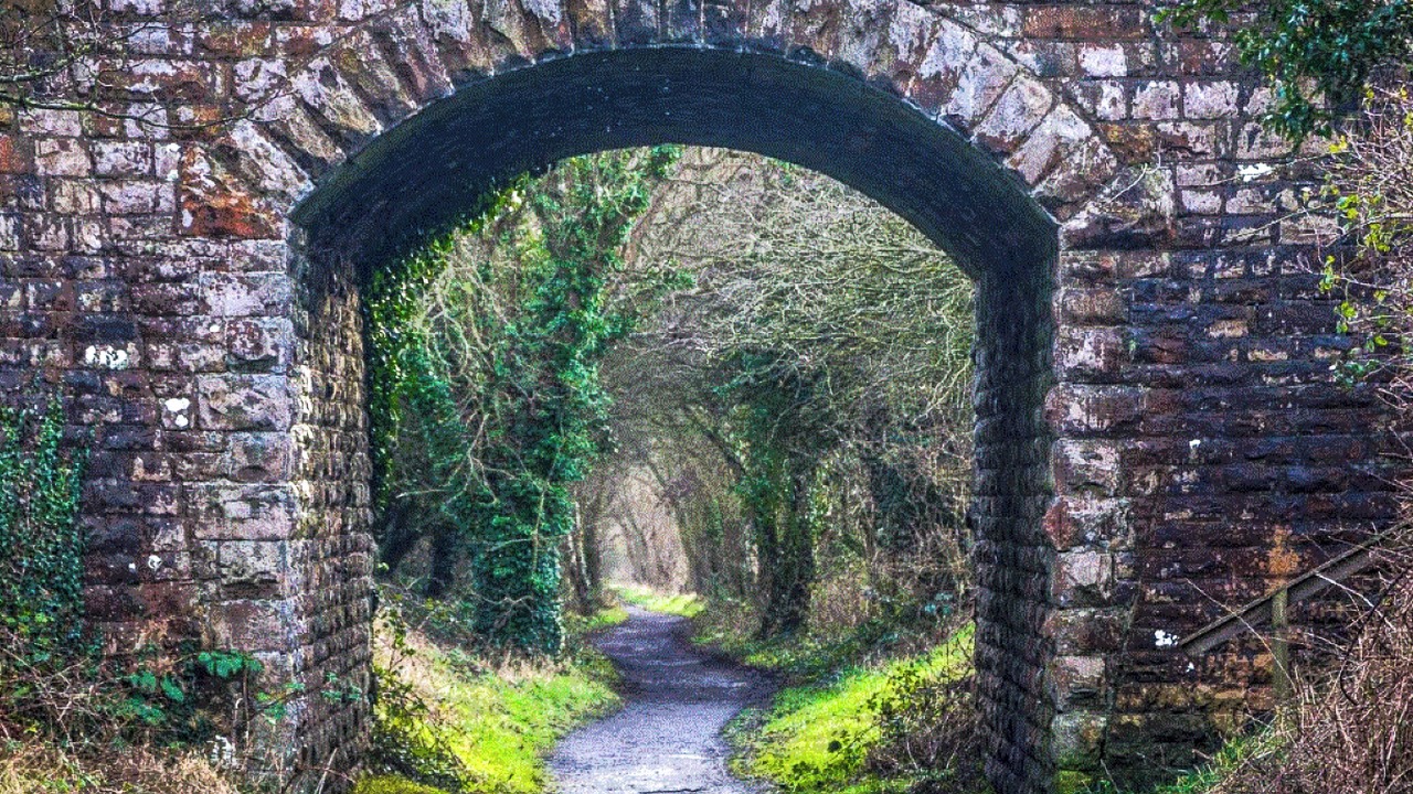 Photo of Others in Scarborough