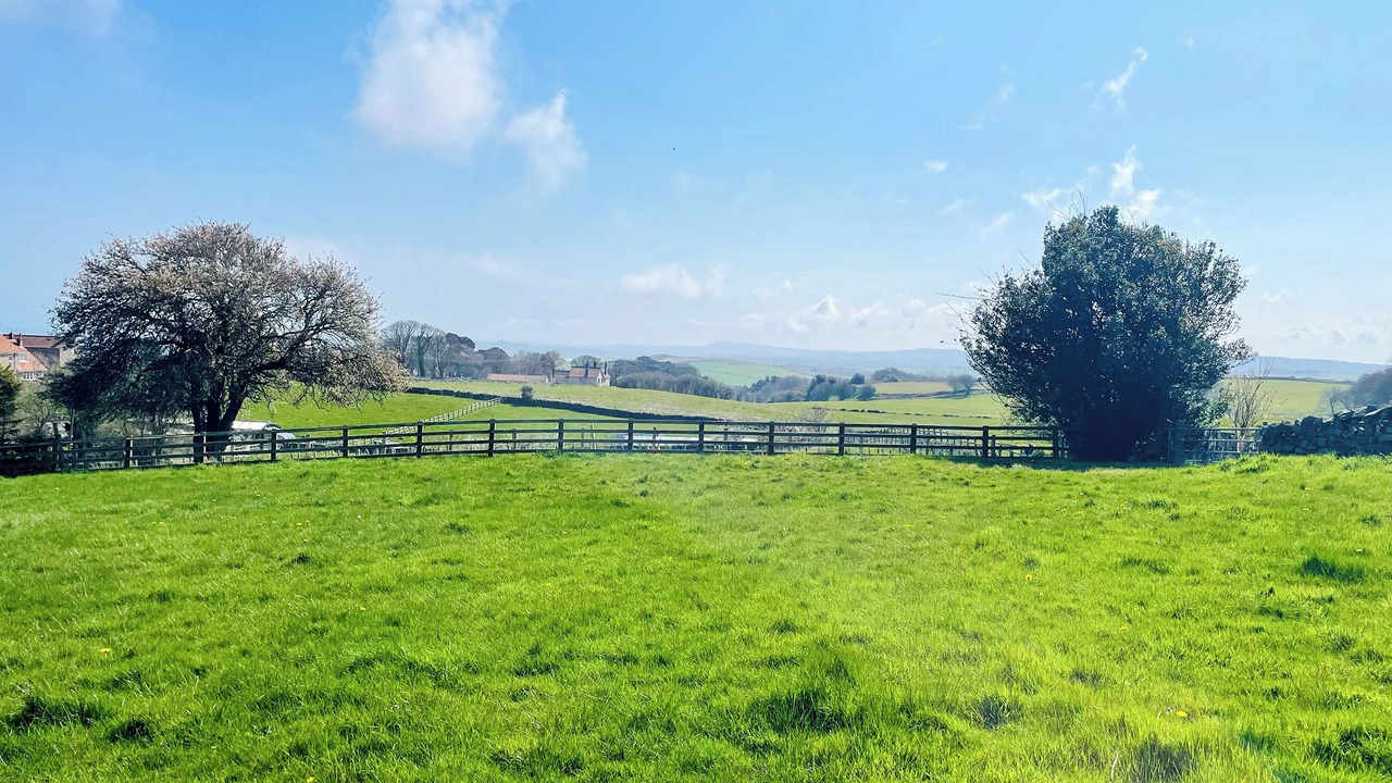 Photo of Outdoor in Scarborough