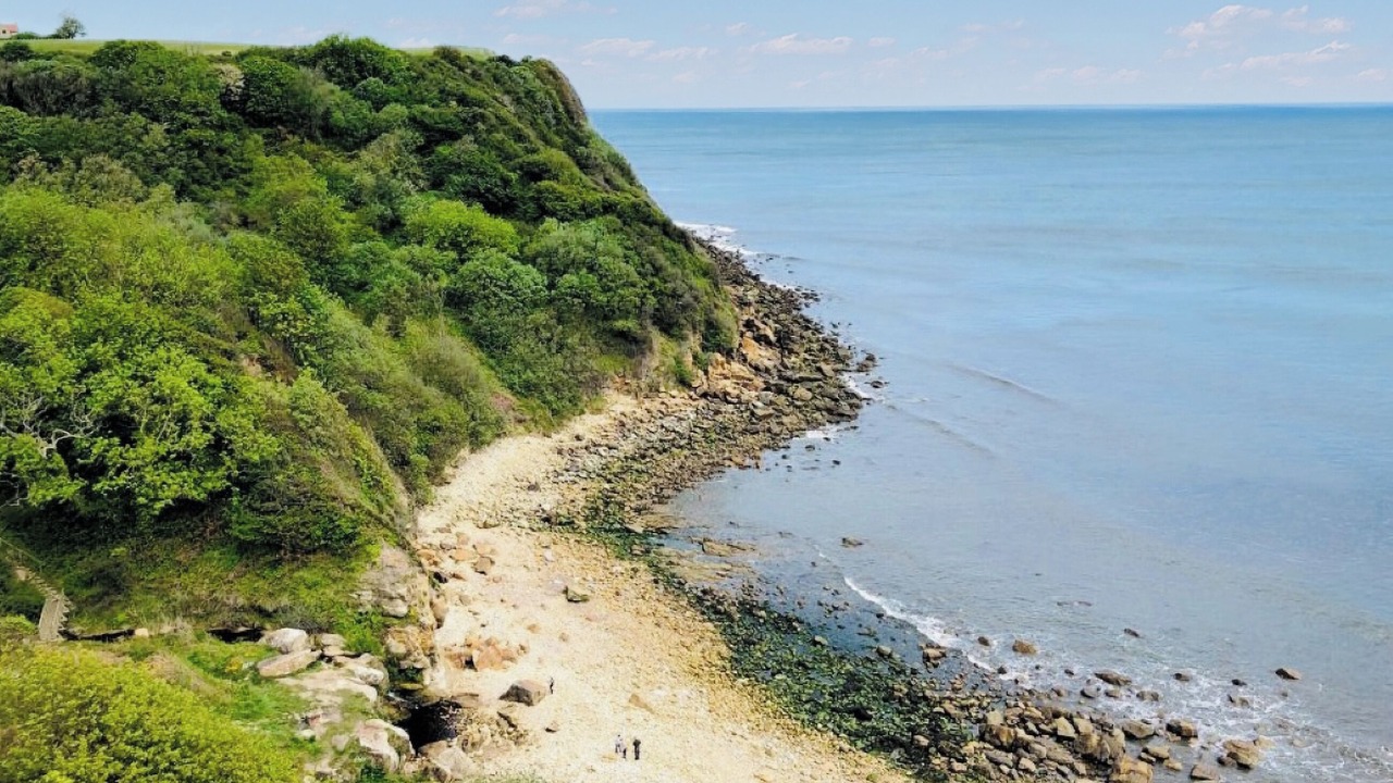 Photo of Others in Scarborough