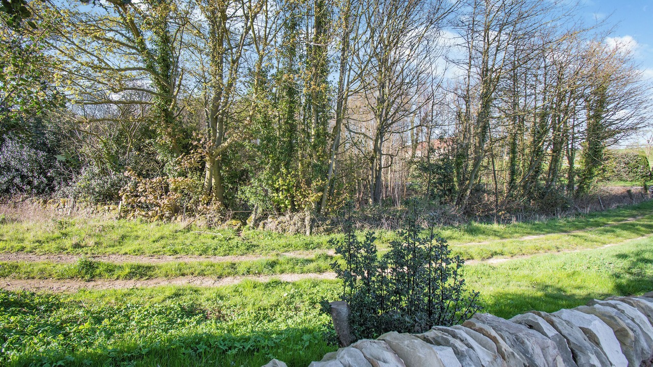 Photo of Others in Scarborough