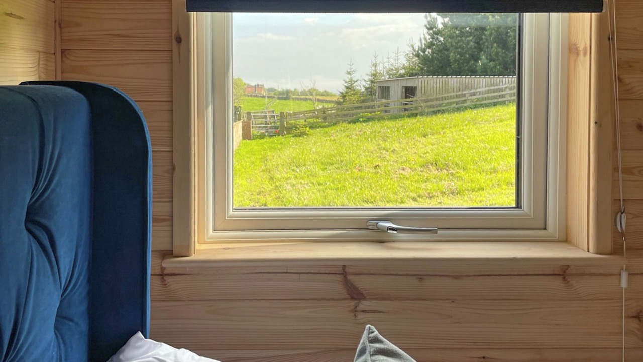 Photo of Others in Scarborough