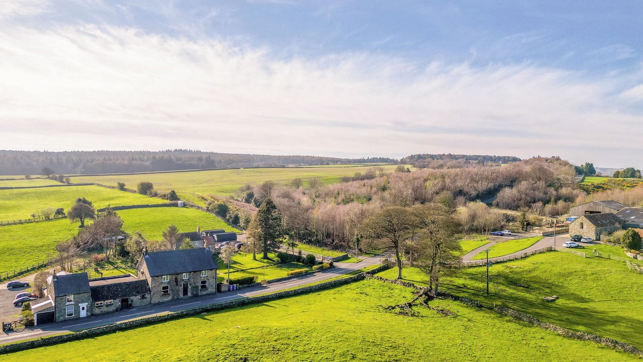 Photo of Others in Scarborough