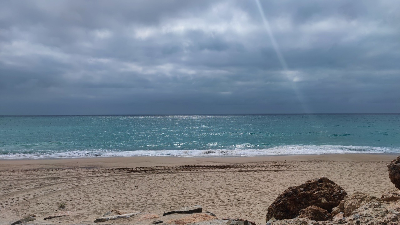 Photo of Others in Miami Platja