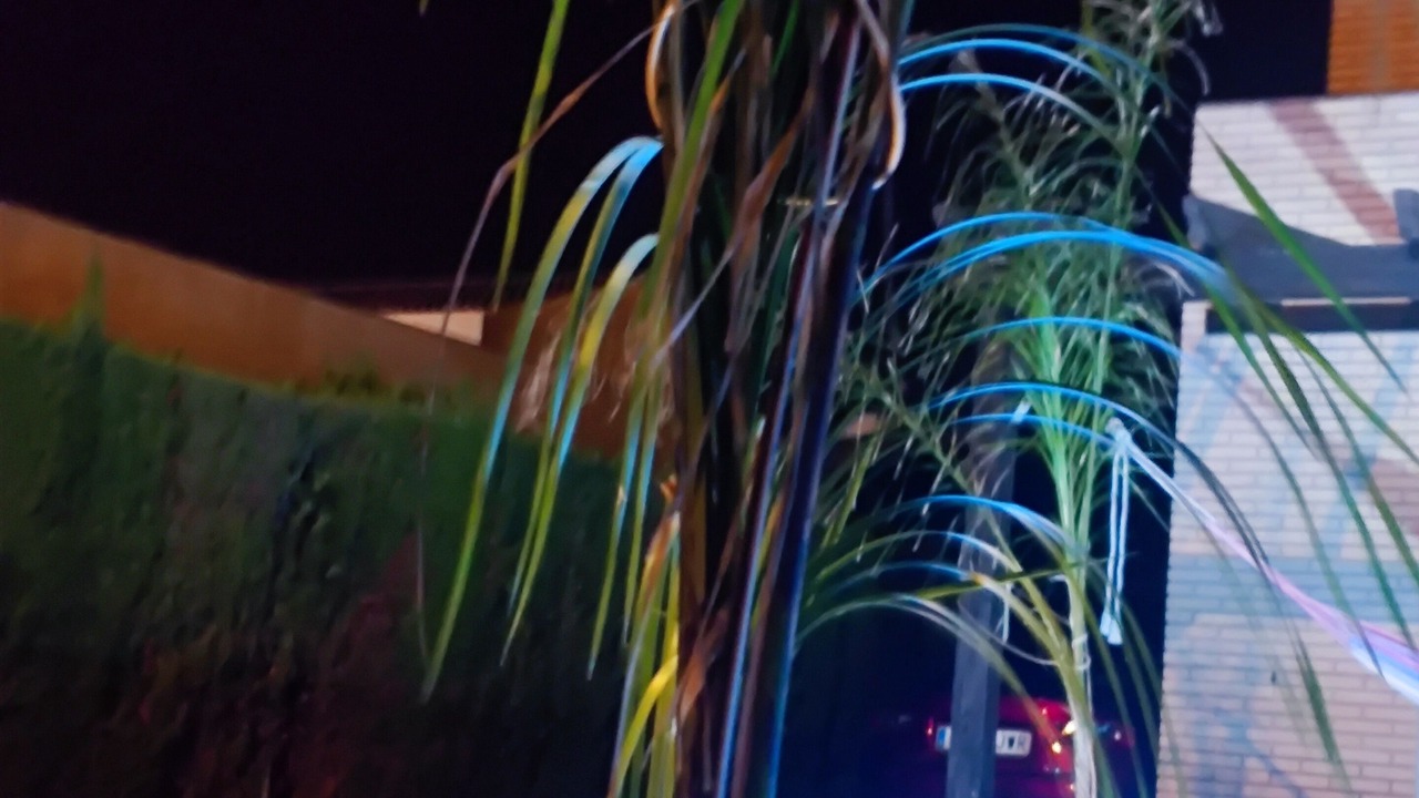 Photo of Outdoor in Miami Platja