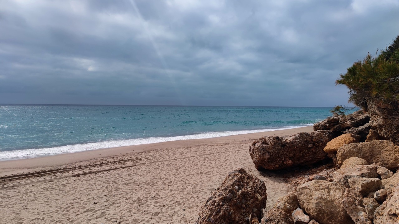 Photo of Others in Miami Platja