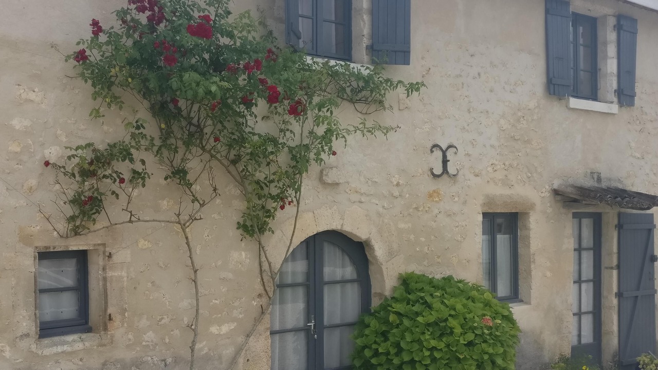 Photo of Outdoor in Soyaux