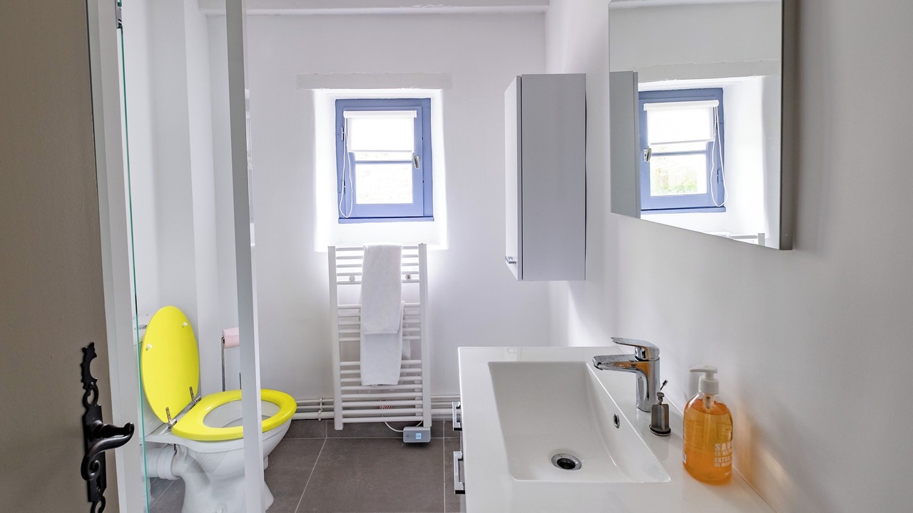 Photo of Bathroom in Soyaux