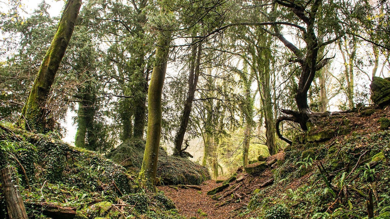 Photo of Others in Lydney