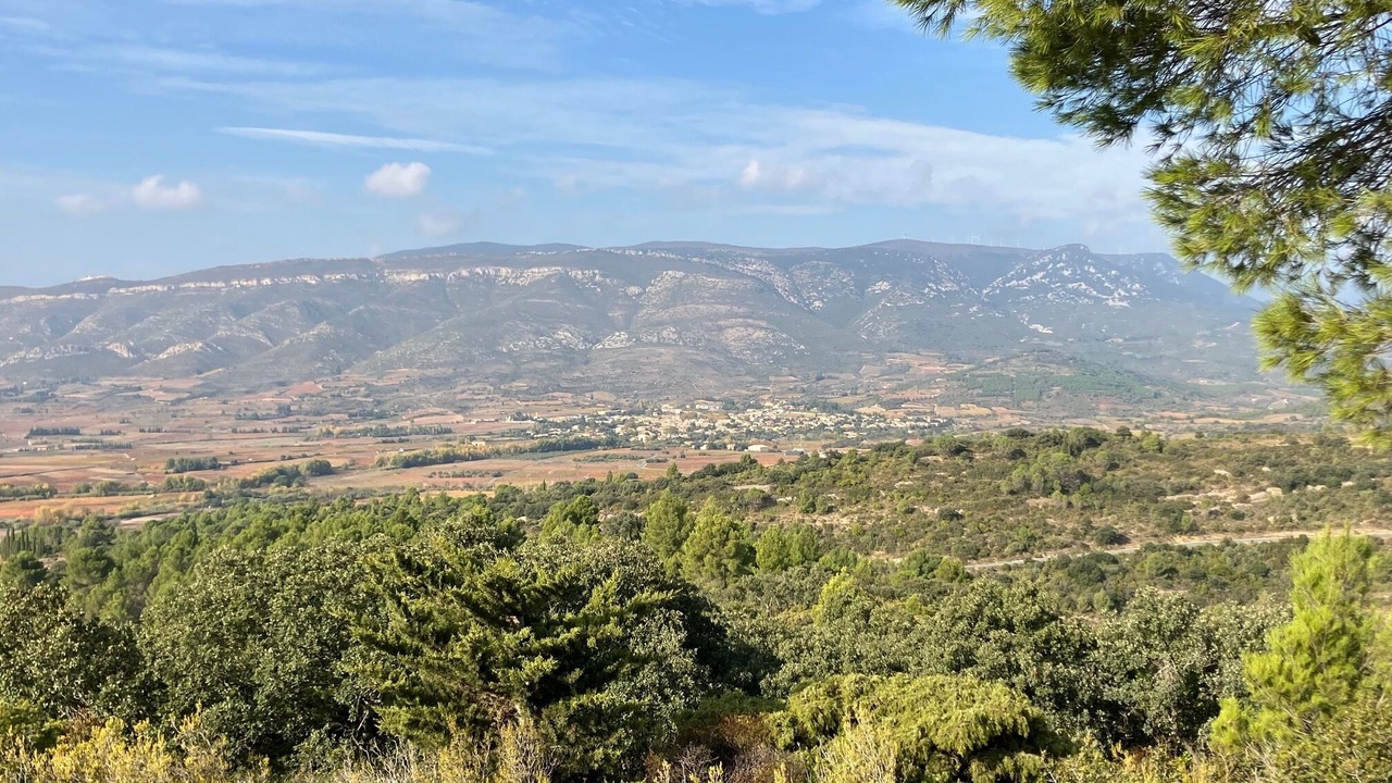 Photo of Others in Tuchan