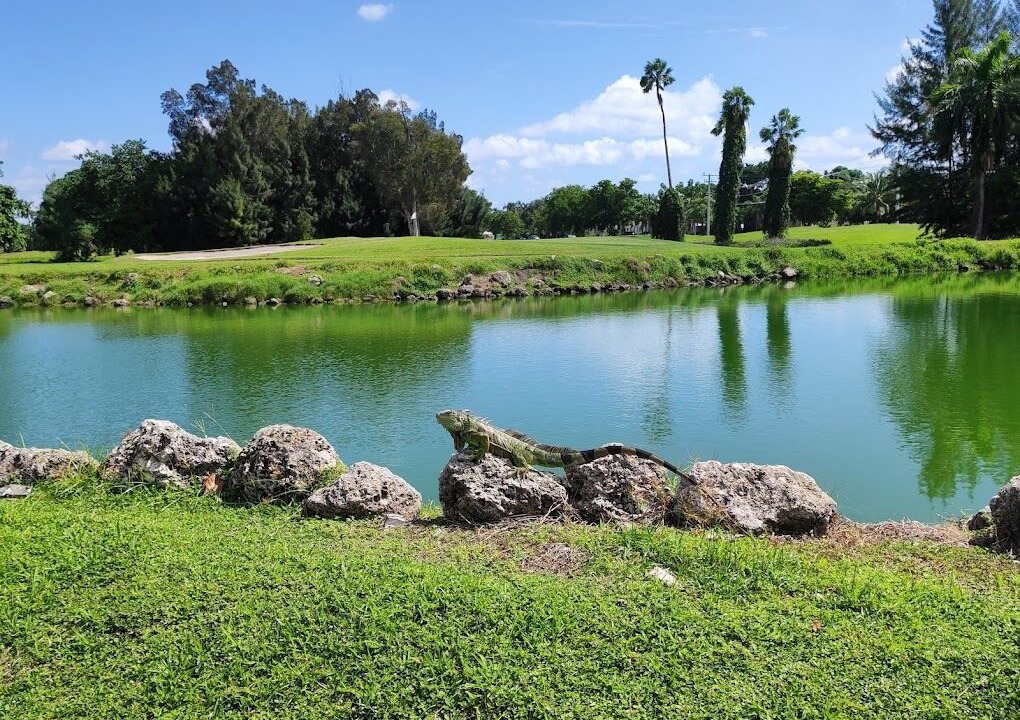 Photo of Others in Royal Poinciana
