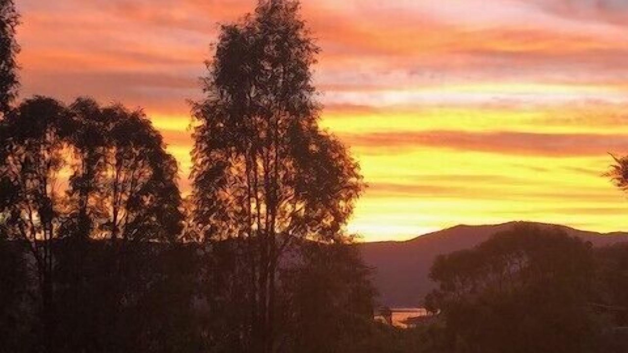 Photo of Others in Macs Cove