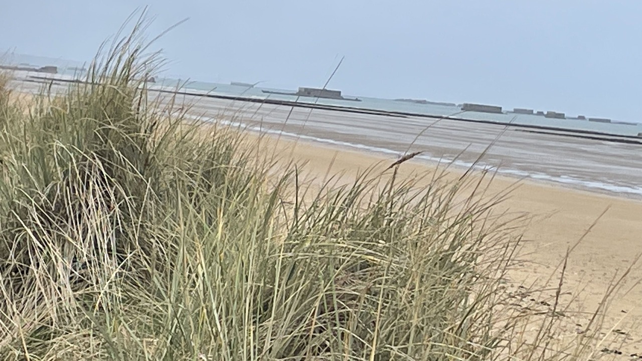 Photo of Others in Ver-sur-Mer