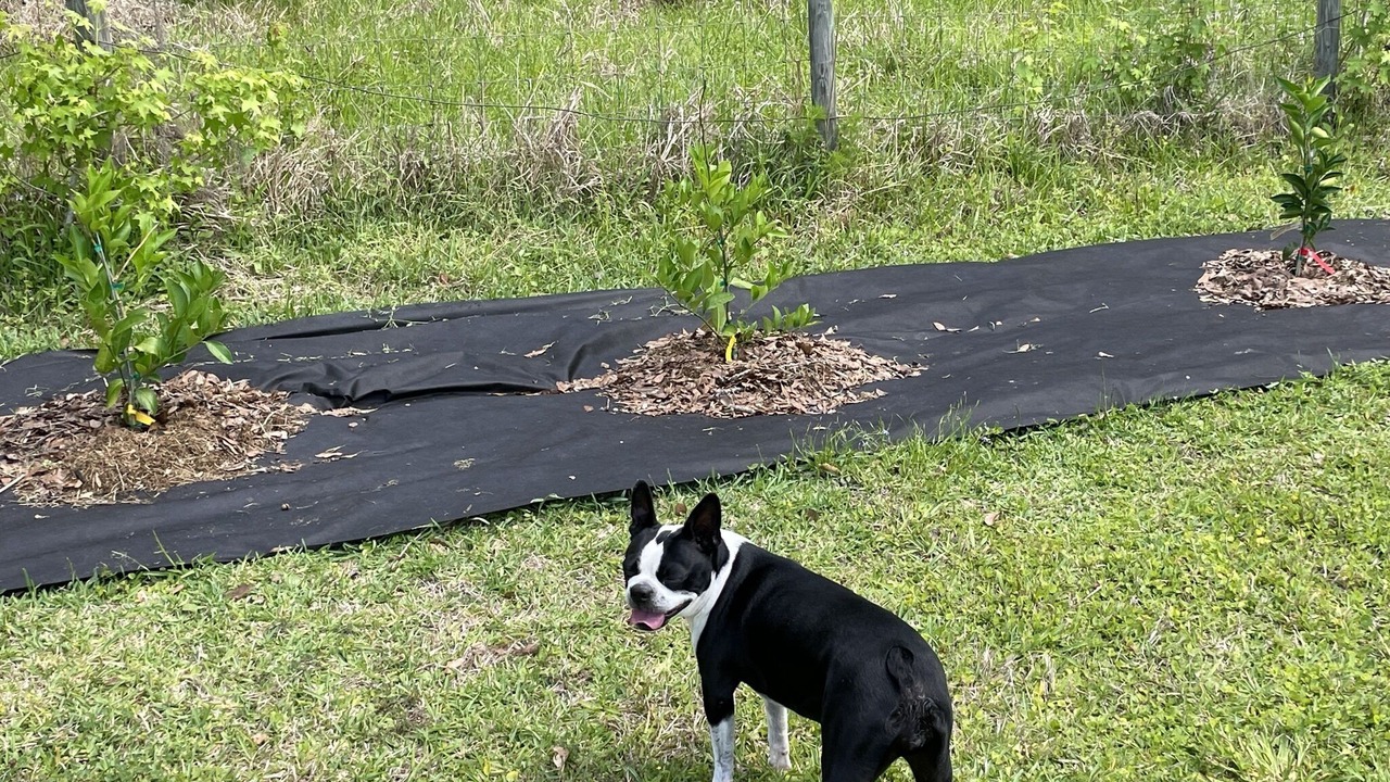Photo of Outdoor in Alachua