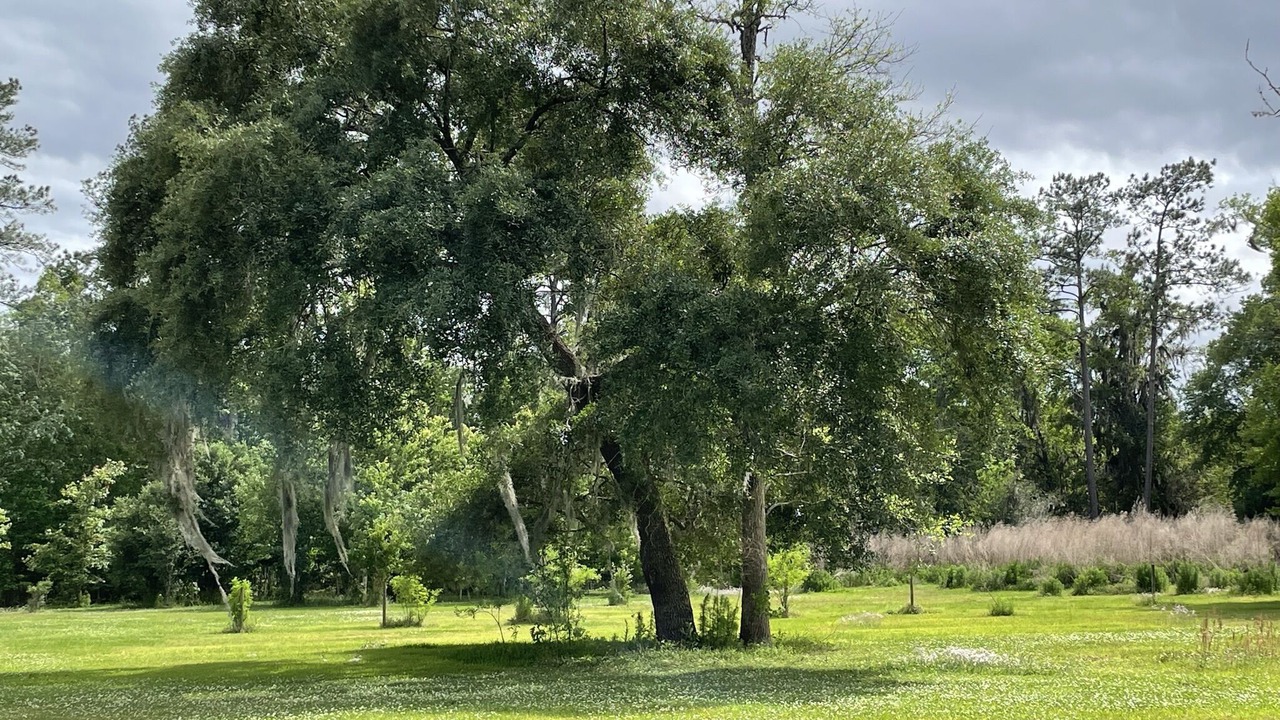 Photo of Others in Alachua