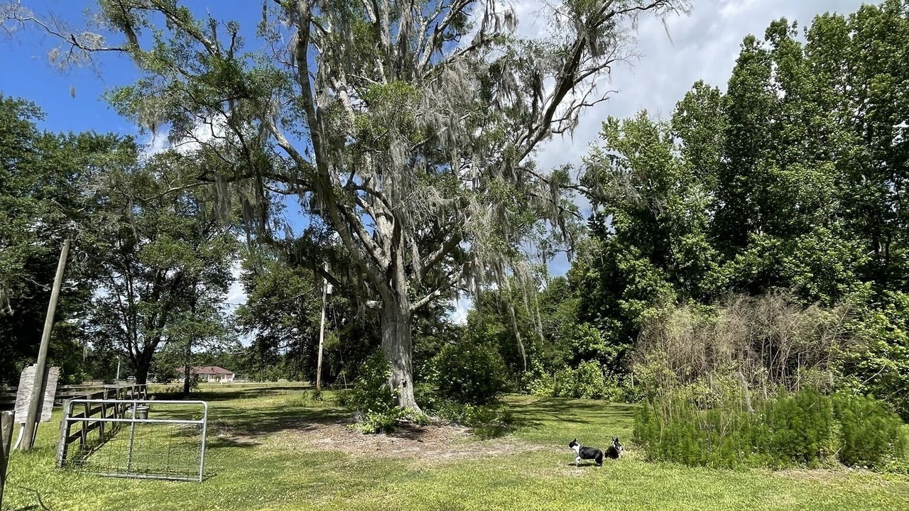 Photo of Outdoor in Alachua