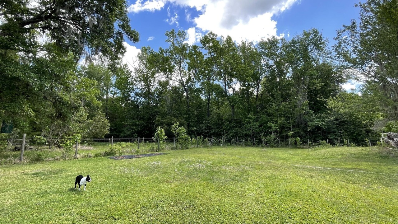 Photo of Outdoor in Alachua