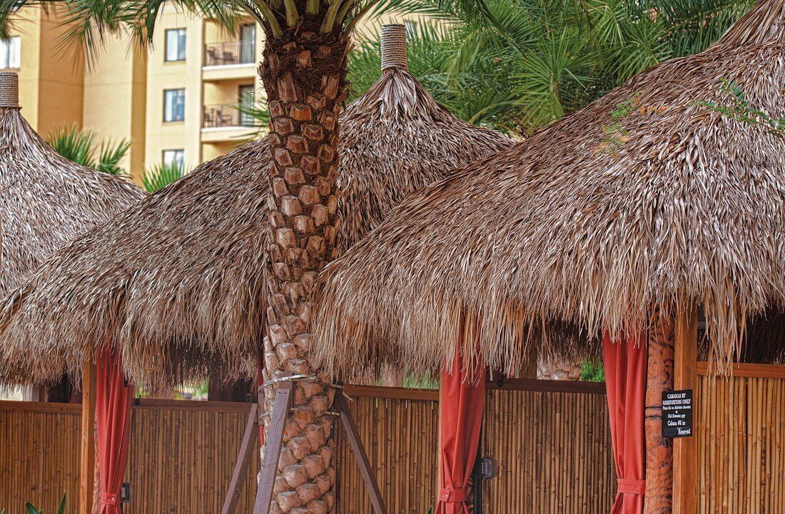 Photo of Outdoor in Lake Buena Vista