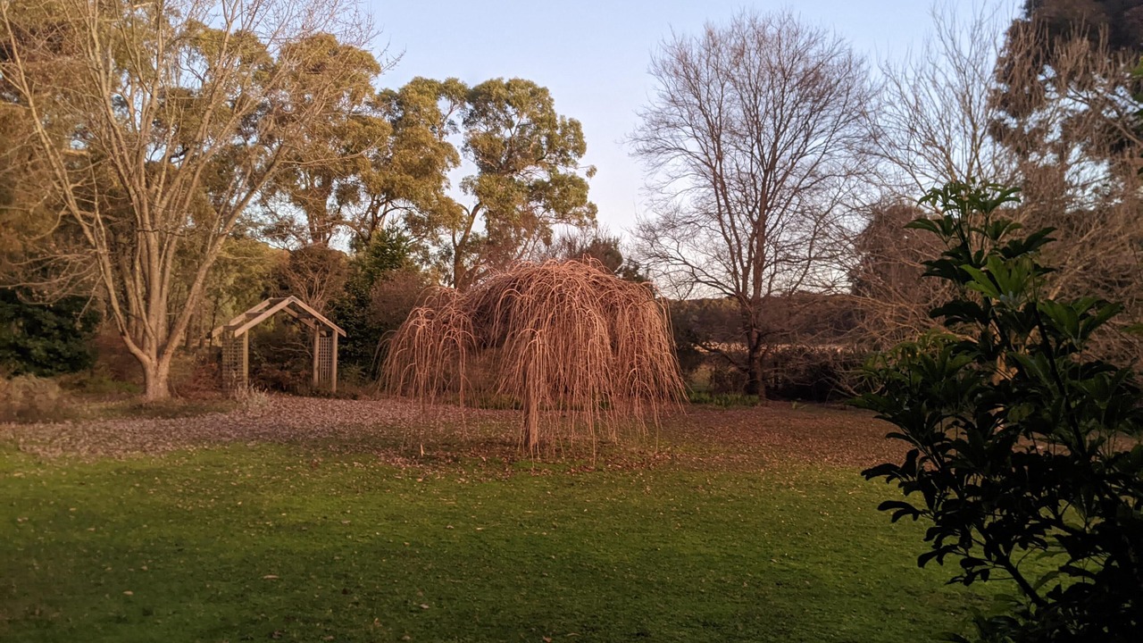 Photo of Outdoor in Marraweeney