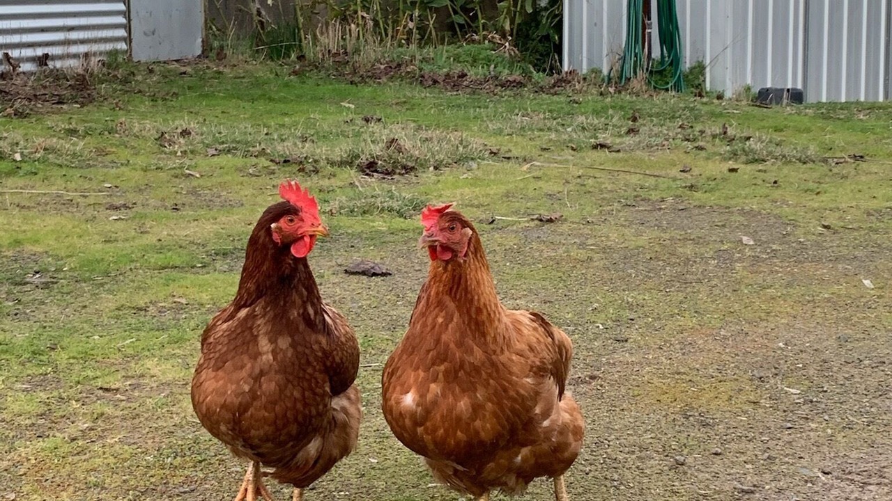 Photo of Others in Marraweeney