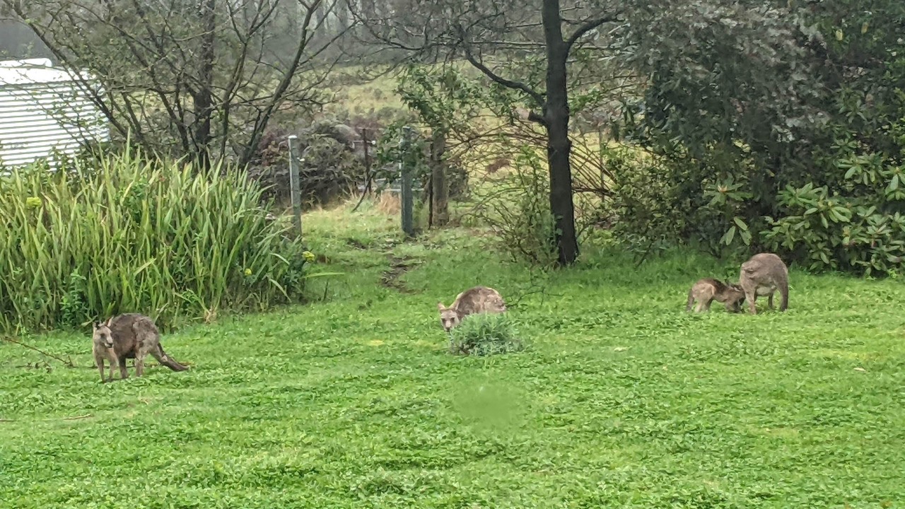 Photo of Outdoor in Marraweeney