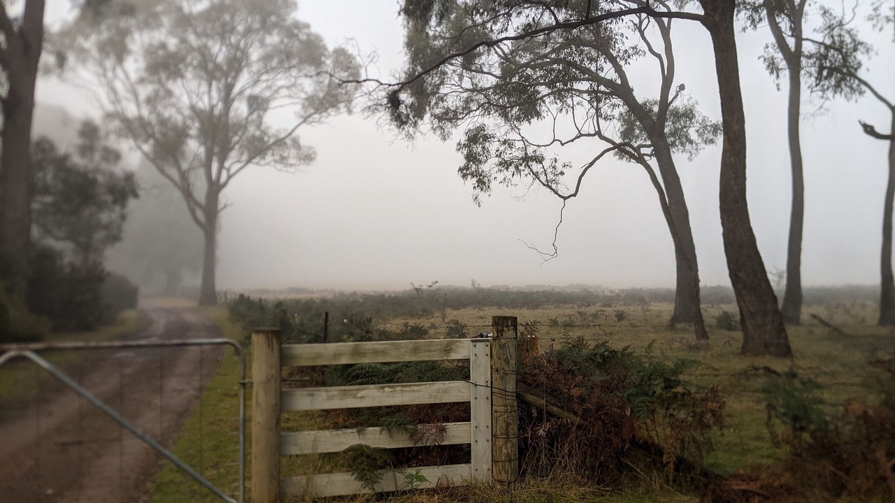 Photo of Outdoor in Marraweeney