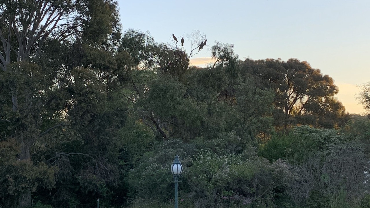 Photo of Others in Marraweeney