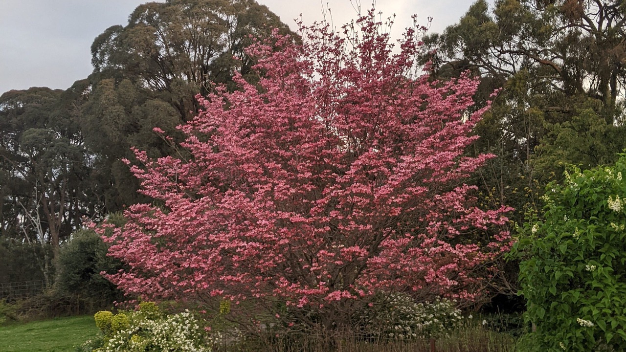 Photo of Outdoor in Marraweeney