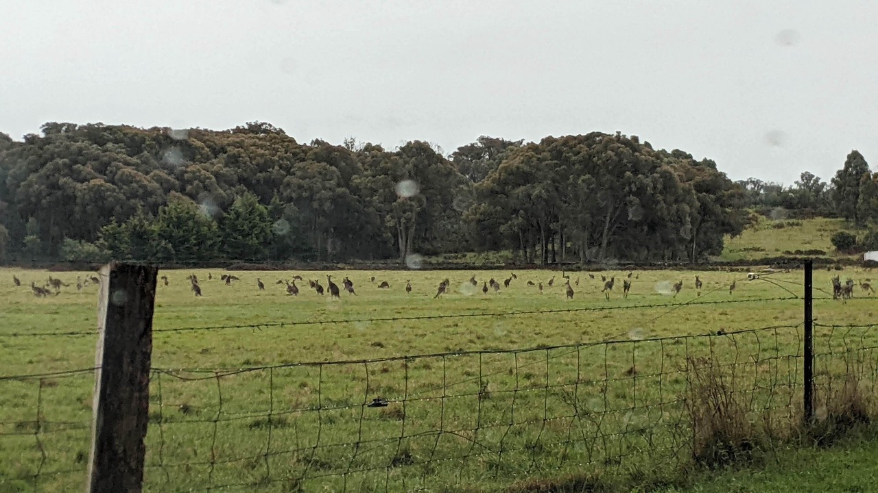 Photo of Outdoor in Marraweeney