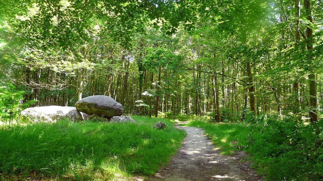 Photo of Outdoor in Saint-Georges-de-Chesne