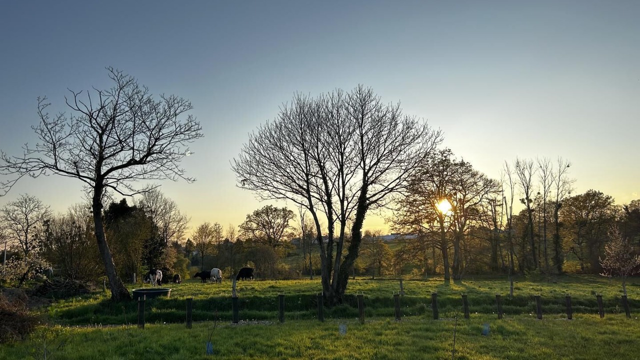Photo of Outdoor in Saint-Georges-de-Chesne