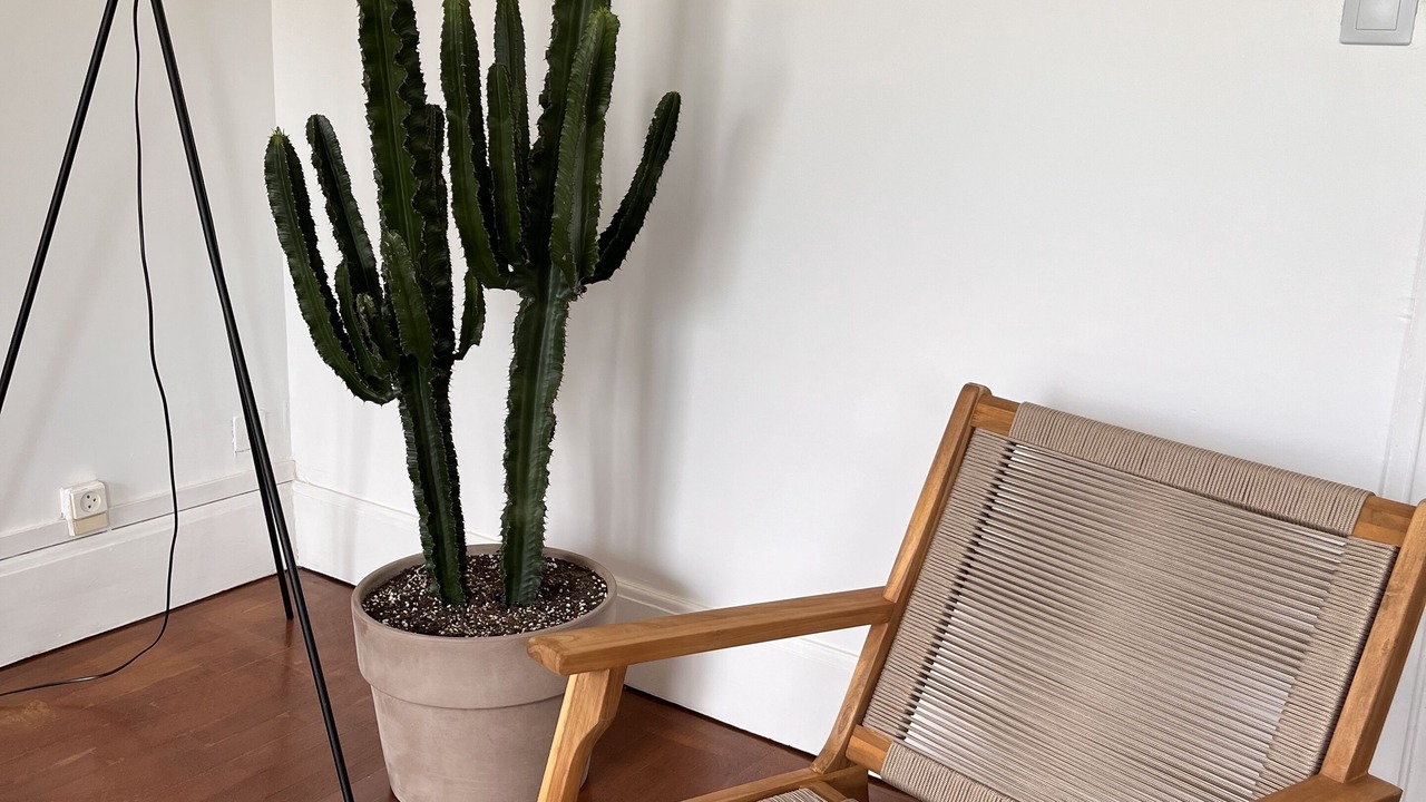 Photo of Others in Faubourg-Raines