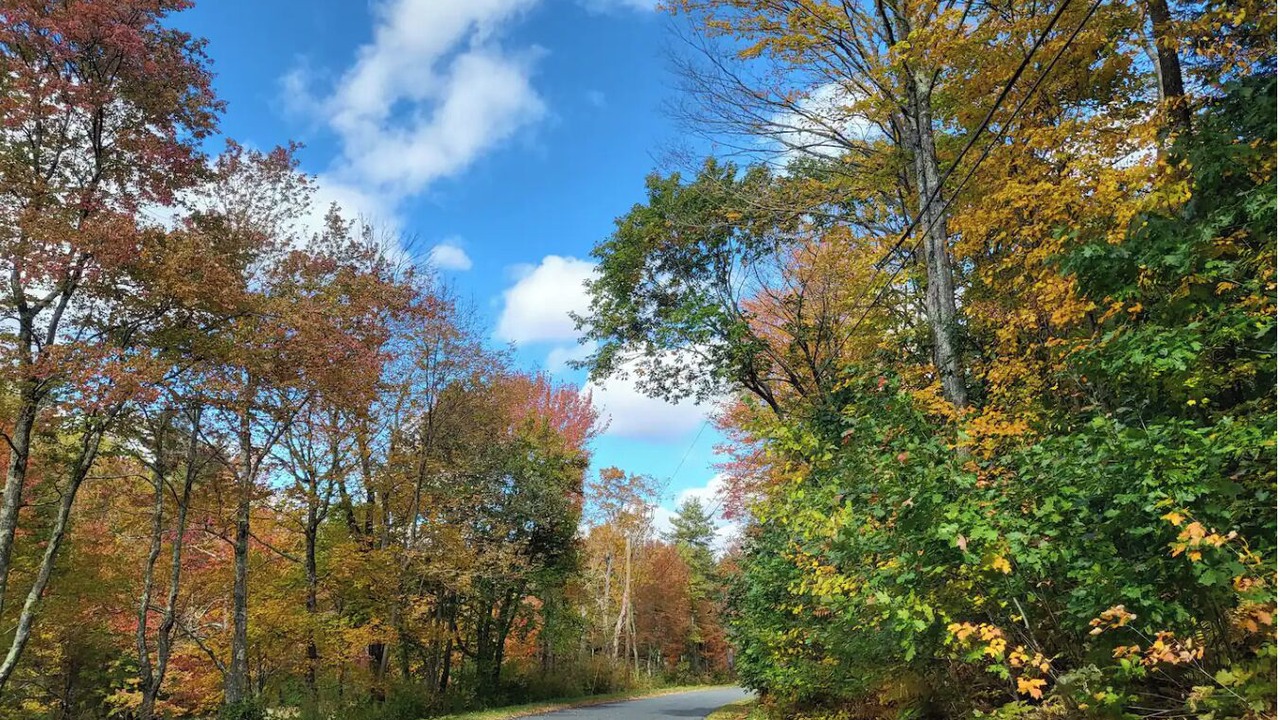 Photo of Outdoor in Sandisfield