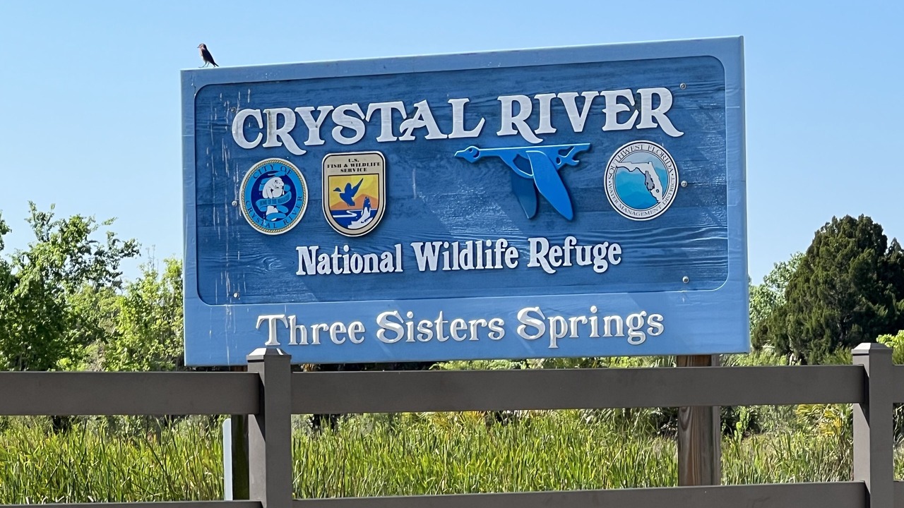 Photo of Outdoor in Springs at Kings Bay
