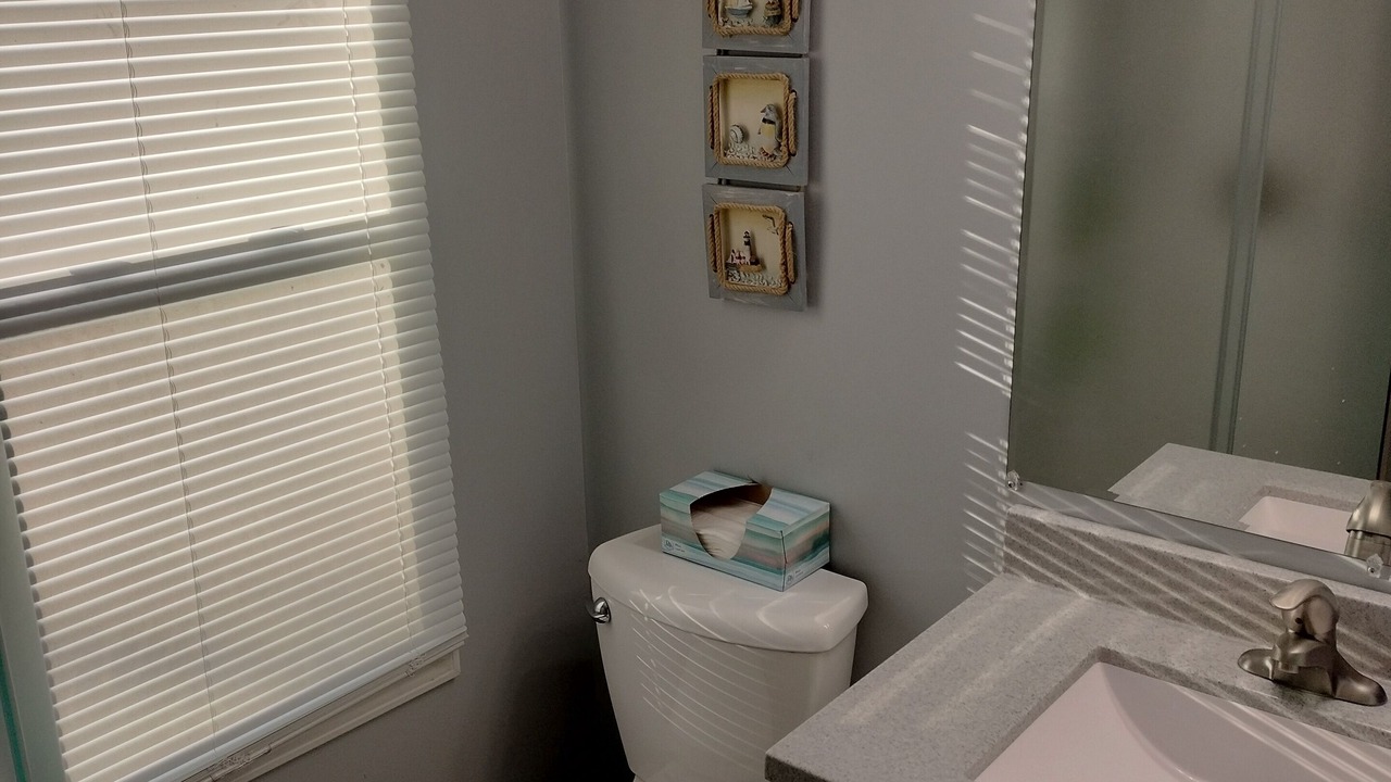 Photo of Bathroom in Clear Lake