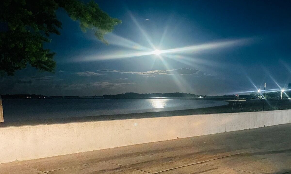 Photo of Others in Columbus Park - Andrew Square