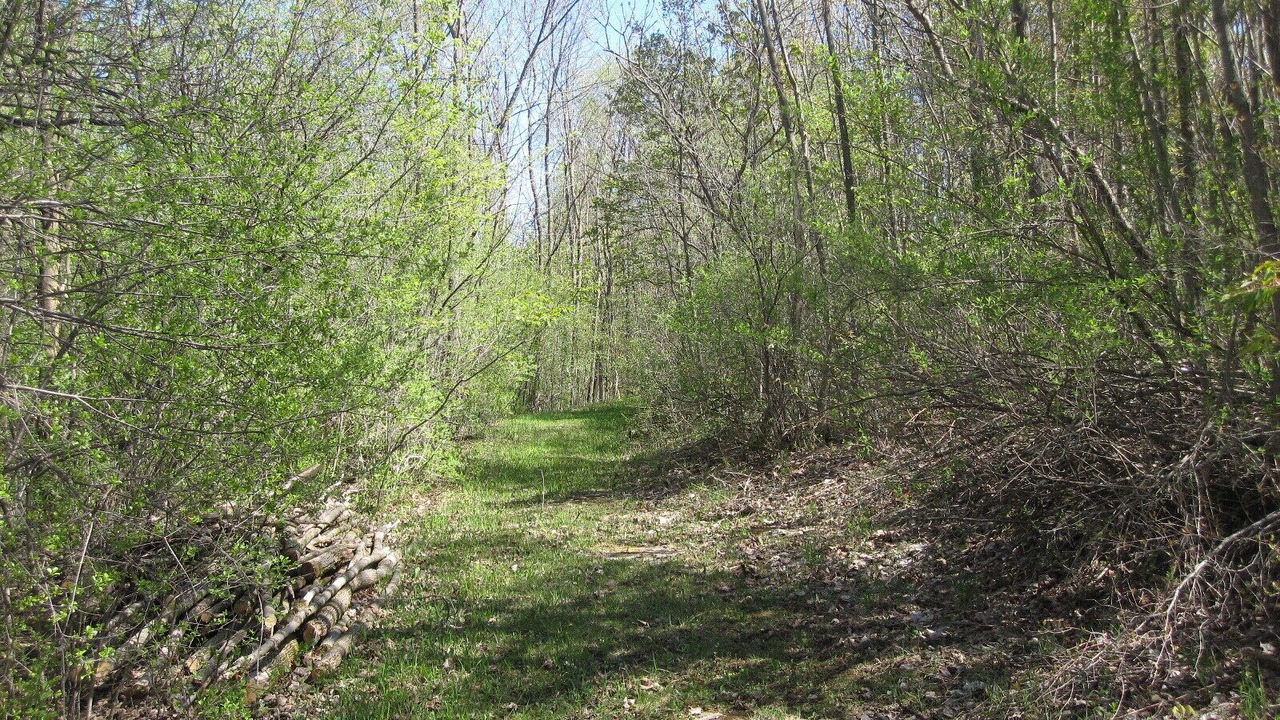 Photo of Others in Limerick