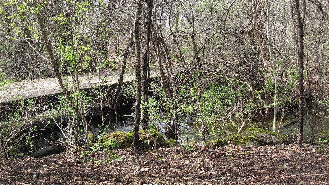 Photo of Others in Limerick