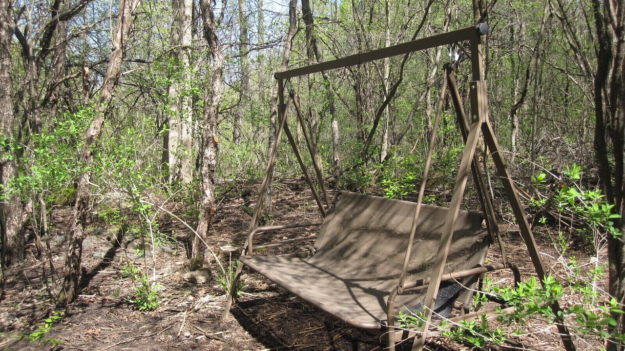 Photo of Others in Limerick