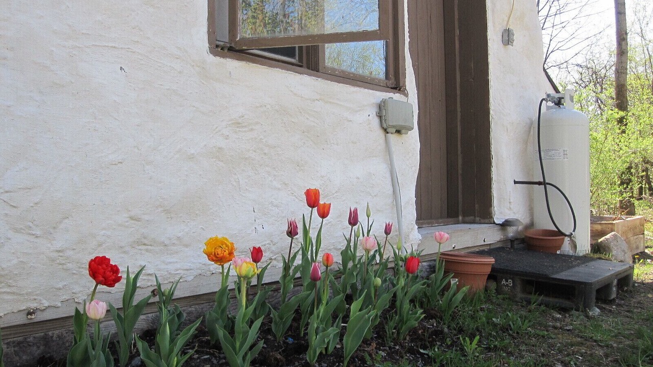 Photo of Outdoor in Limerick