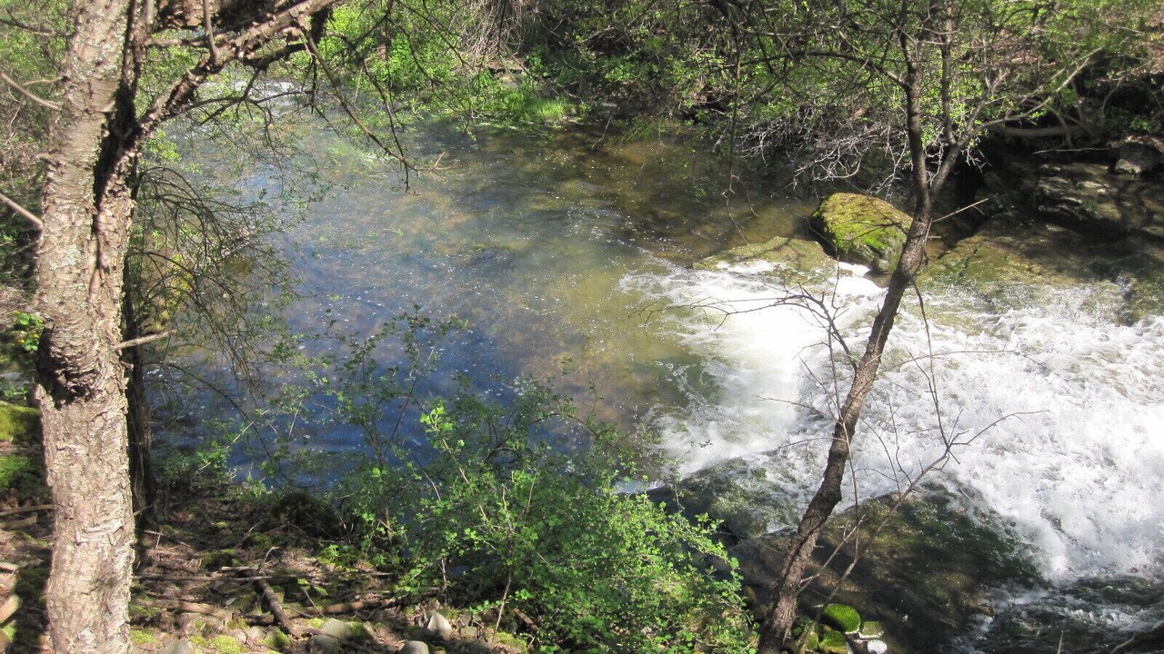 Photo of Others in Limerick