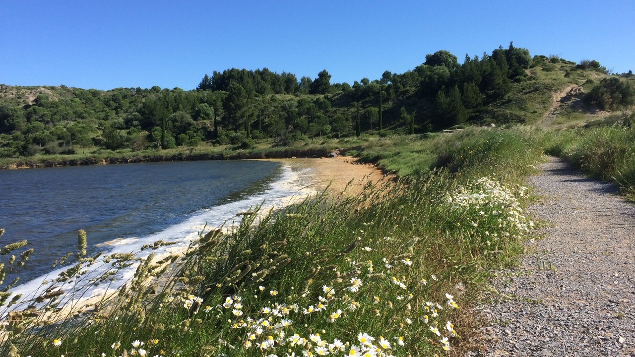 Photo of Others in Peyriac-de-Mer