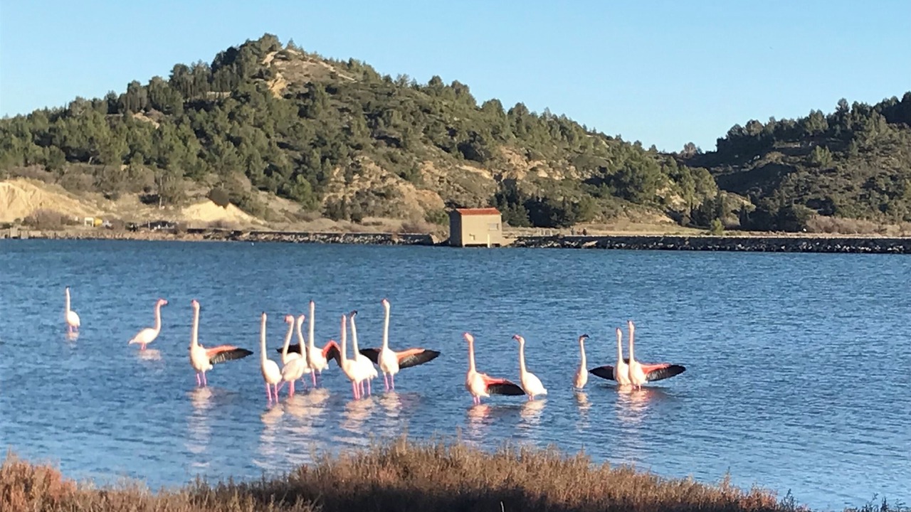 Photo of Outdoor in Peyriac-de-Mer